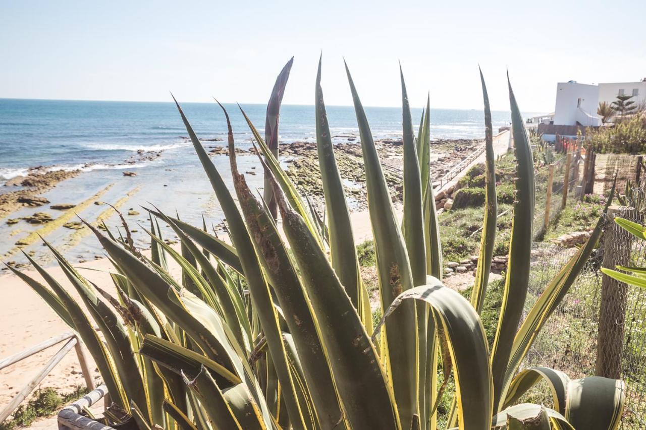 Adosado Con Piscina, Garaje, Jardin Y Playa Los Canos De Meca Luaran gambar